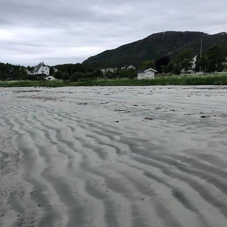 Lofoten Gate Hostel 뢰딩엔 외부 사진