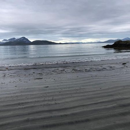 Lofoten Gate Hostel 뢰딩엔 외부 사진