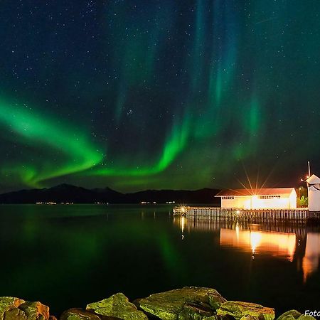 Lofoten Gate Hostel 뢰딩엔 외부 사진